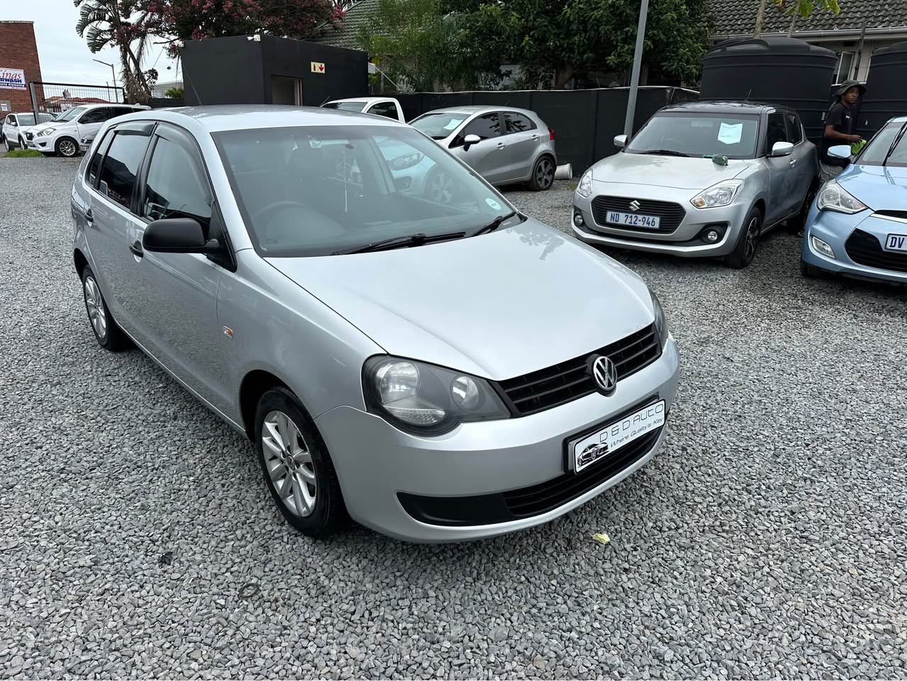 polo vivo