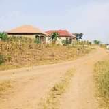 Sseka P.