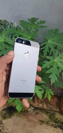 A picture of IPHONE 5SE
