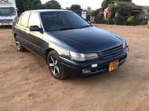 toyota corona