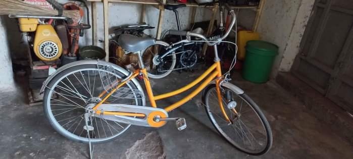 A picture of City bike