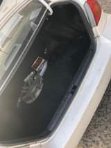 A picture of Well maintained 1 year neatly used Registered Toyota Corolla 2004