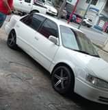 Salz R.