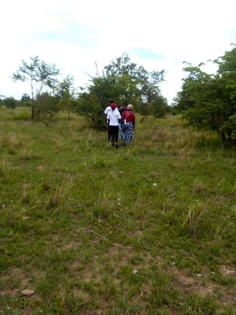 mwembeshi