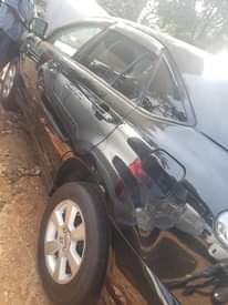 A picture of Harrier kawundo