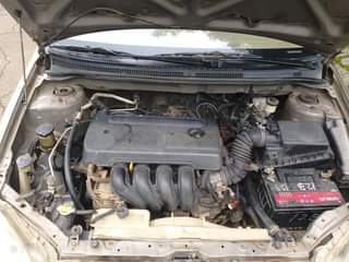 A picture of Distress First Body 06 Toyota Corolla