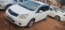 A picture of Toyota Spacio New model