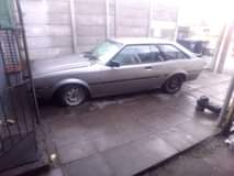 Mogamat P.