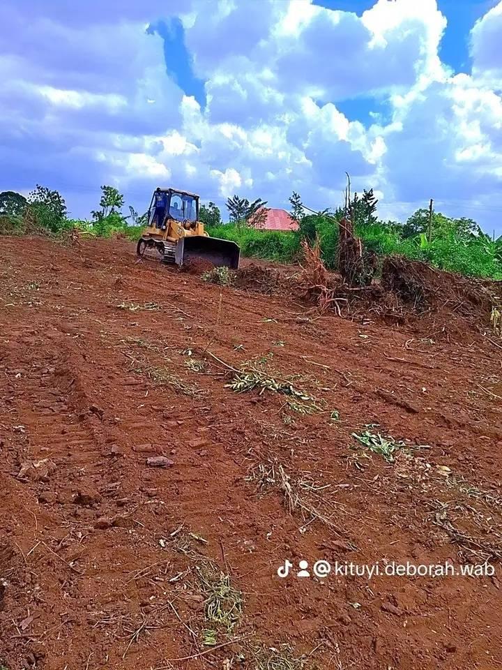 A picture of LIMITED PLOTS UNLIMITED POTENTIAL 