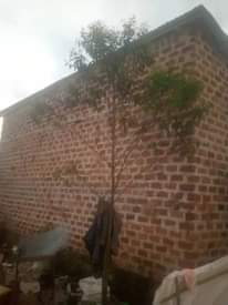 A picture of Double rooms