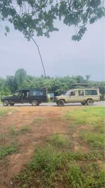 A picture of Safari car hire and tour packages