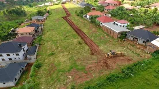 A picture of Wakiso Estate 50by100 with ready land title At 15m.