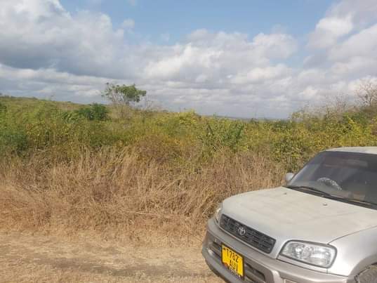 A picture of shamba linauzwa lipo bagamoyo kiwangwa bago