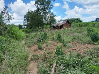 A picture of SHAMBA EKARI 10 LINAUZWA CHALINZE MJINI CHANG OMBE STREET