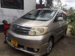 A picture of Alphard