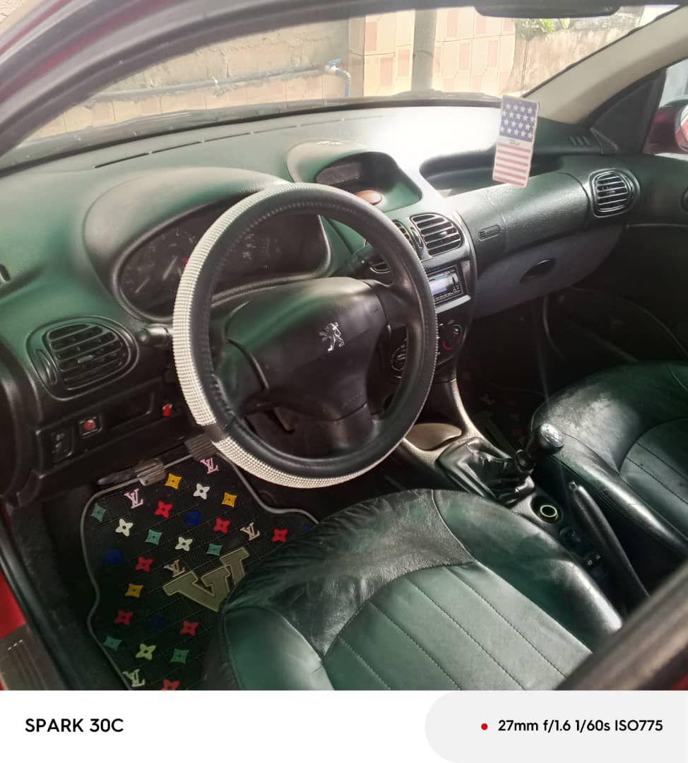 A picture of Peugeot 206 beljium grade