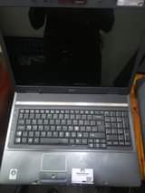 A picture of Acer