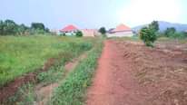 A picture of CHRISTMAS OFFER 50BY100 WITH READY LAND TITLE AT 20M NKOWE