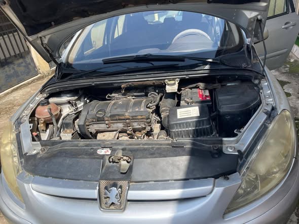 A picture of Peugeot 307 Station Wagon