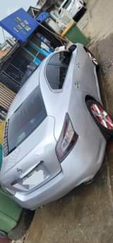 A picture of Mussina maxima 2014