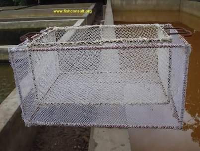 A picture of Fishfarming inputs