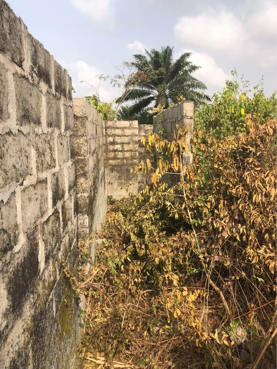 A picture of A full and half Quater plot of Land For Sale
