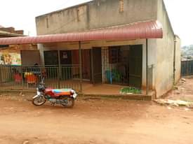 A picture of  Busuubuzi Hottest cake for sale....... Shops for sale 3