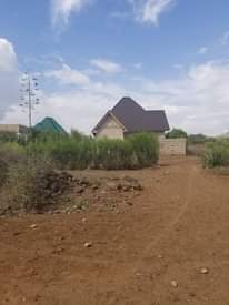 A picture of Arusha