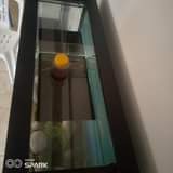 A picture of AQUARIUM ON SALE