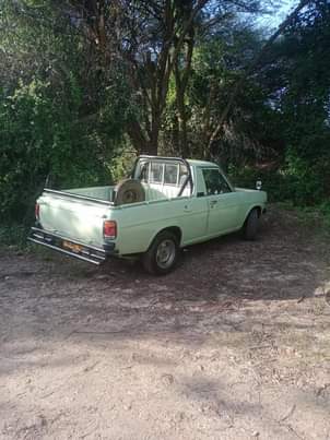 datsun 1200