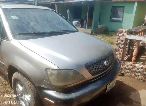 A picture of Lexus Rx300 2002 Model