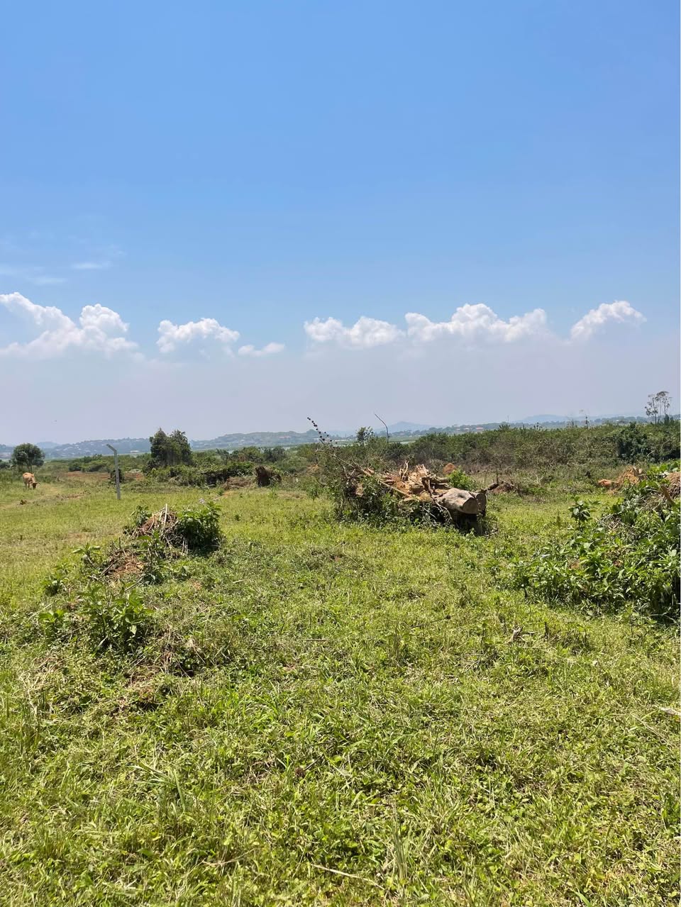 houses entebbe