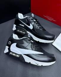 A picture of Air max