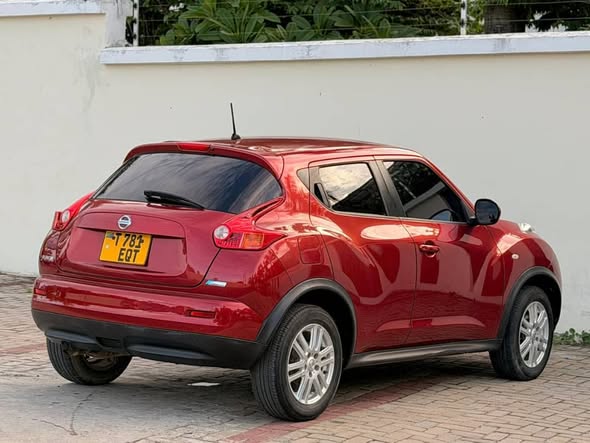 A picture of NISSAN JUKE
