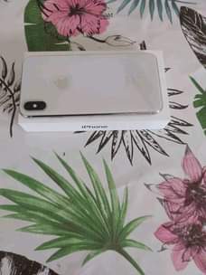A picture of iPhone Xmas
