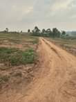 A picture of Matuga Kilyagonja Plots