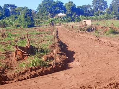 A picture of  MATUGGA KIWEBWA CITY SITE All installments allowed 40x20ft...... ............