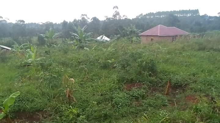 houses matugga