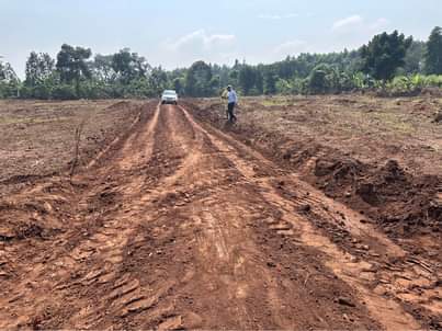 A picture of Cheap plots KAKIRI TOWN COUNCIL 1km off tarmac
