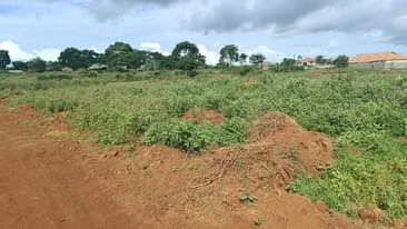 A picture of TITLED PLOTS FOR SALE IN NAMAYUMBA