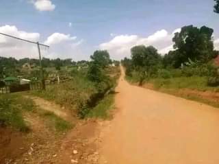 Ssentumbwe B.