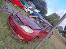 Chuna M.