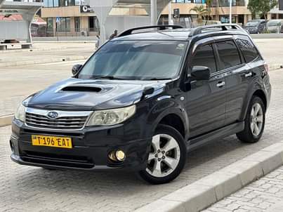 A picture of Forester
