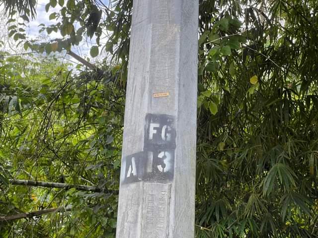 Ashaki M.