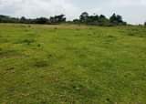 A picture of 3 5 square miles for sale in mijera Nakasongola district