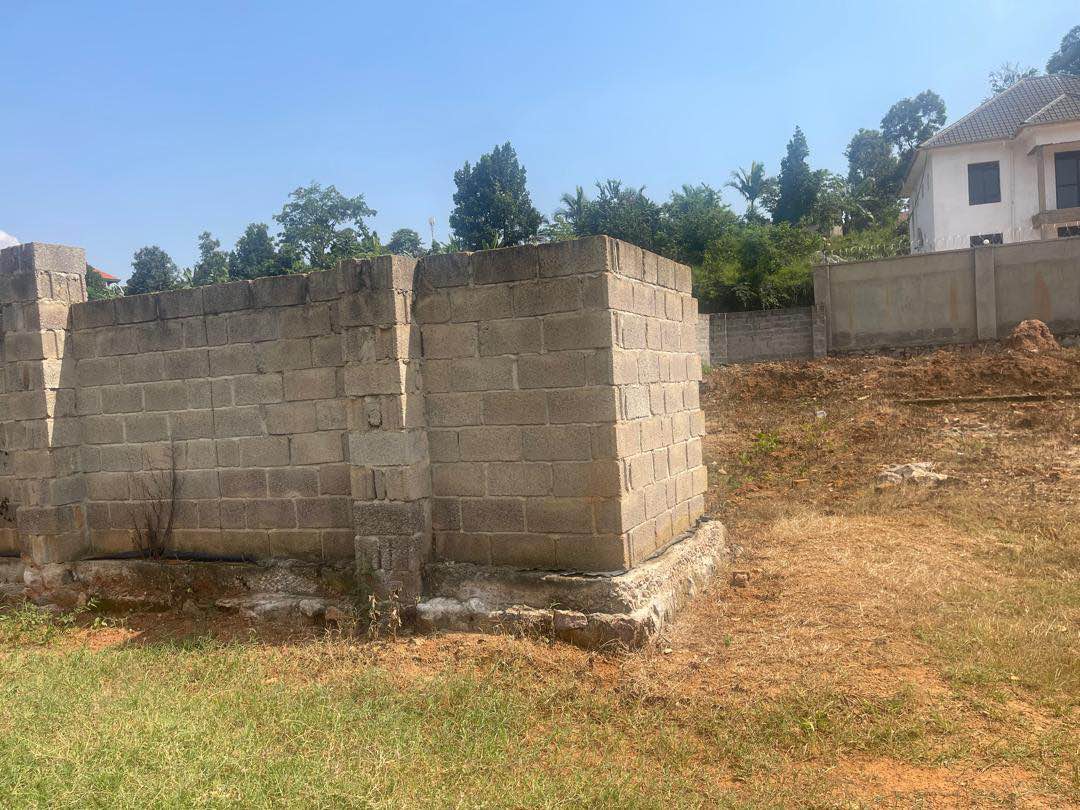 A picture of Plot