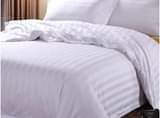 A picture of 10PC PLAIN WHITE DUVETS