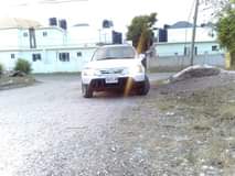 Lesly A.