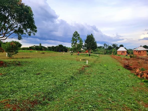 A picture of PLOTS AT GAYAZA 16M Vumba