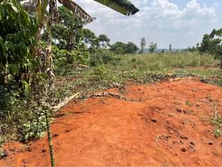 A picture of plot of 50ft by 50ft in mukono kibiribiri at 4m